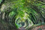 My favourite walks in the South Downs National Park My favourite walks in the South Downs National Park